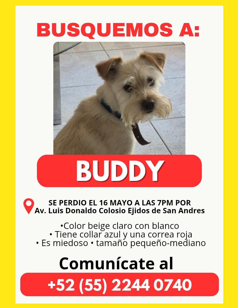 Buddy