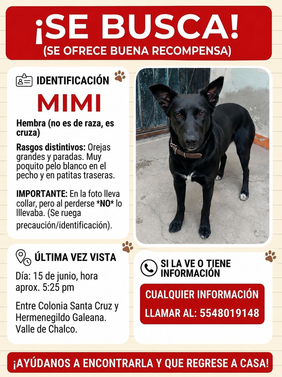 Mimi