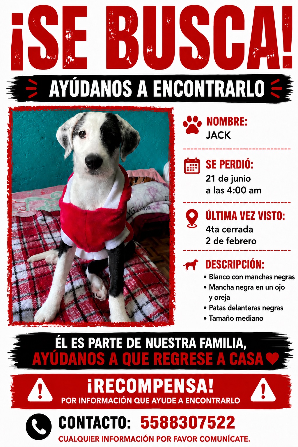 Jack