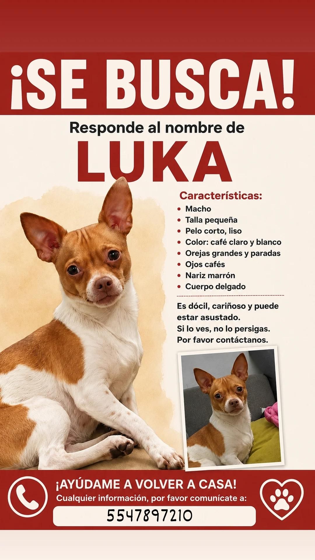 Luka