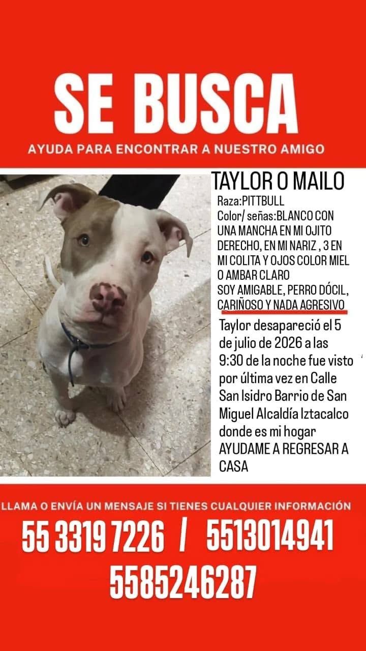 taylor