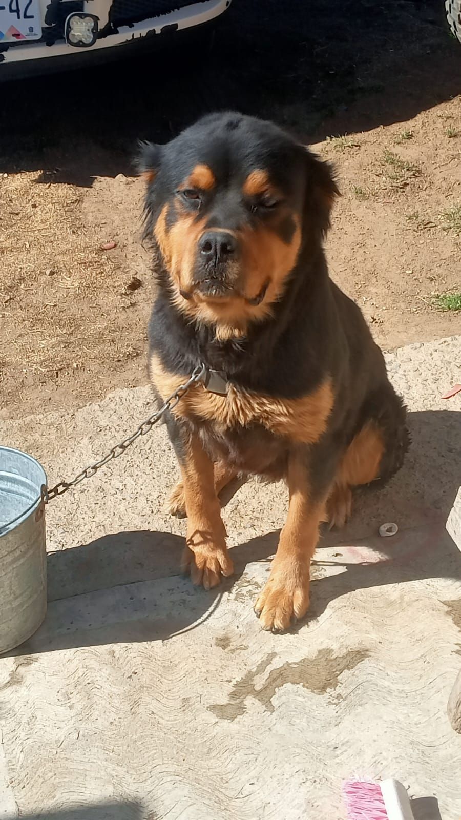 Kira