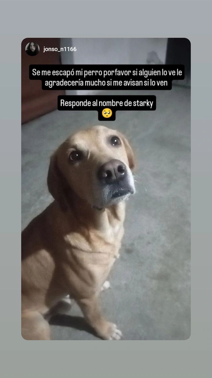 Starcky