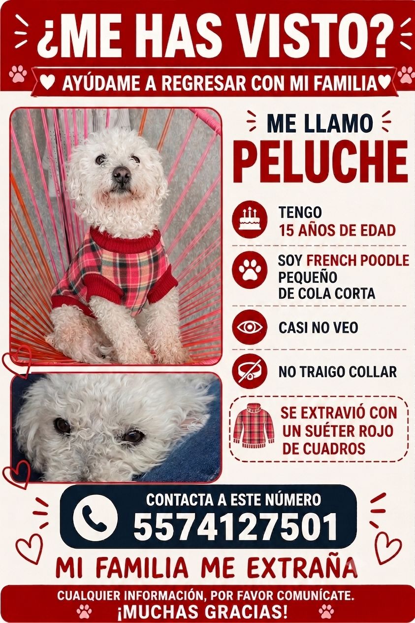 PELUCHE