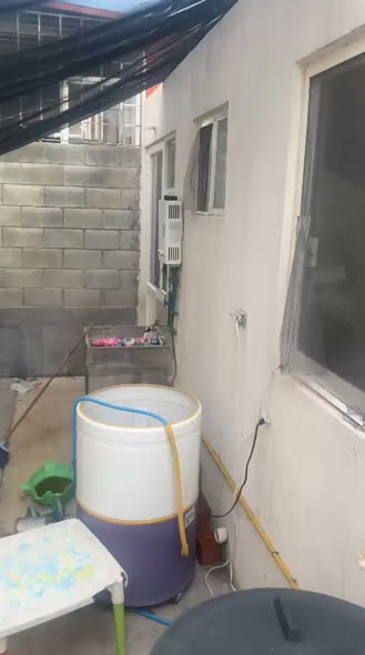 Perro en adopción