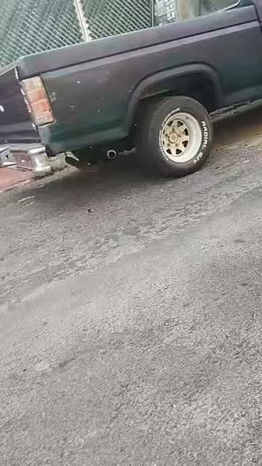 Perro en adopción