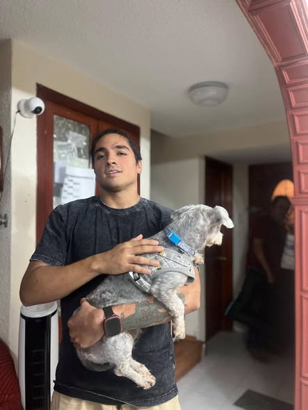 Perro en adopción