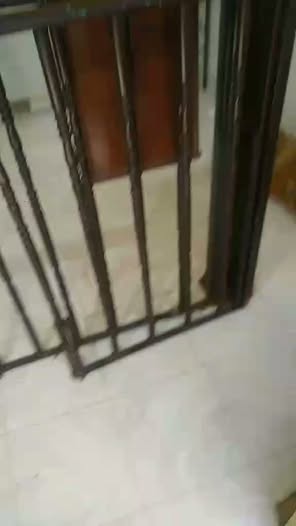 Perro en adopción