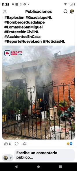 Perro en adopción