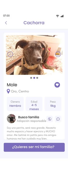 Mixed Breed
