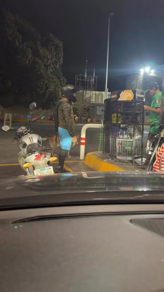 Foto del avistamiento de perro