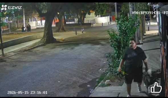 Foto del avistamiento de perro