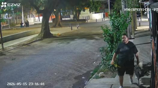 Foto del avistamiento de perro