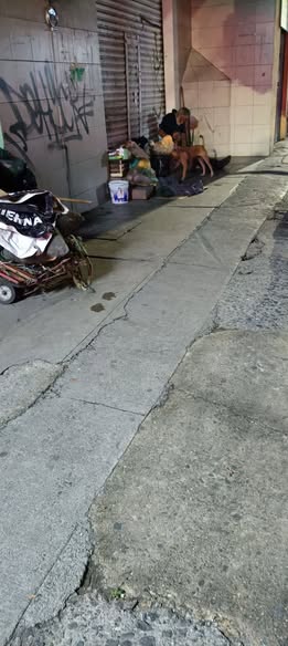Foto del avistamiento de perro