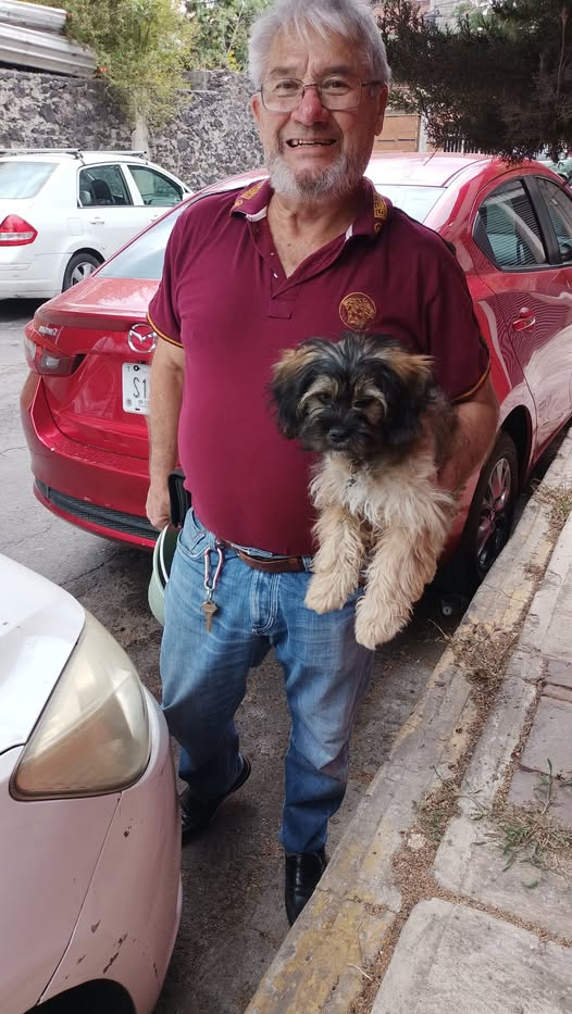 Foto del avistamiento de perro