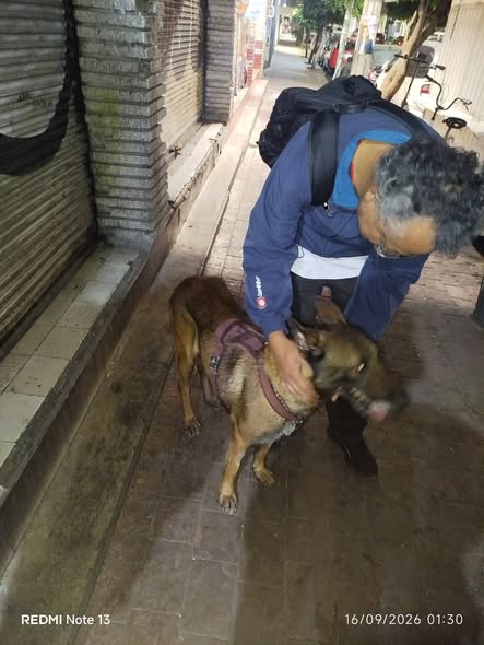 Foto del avistamiento de perro