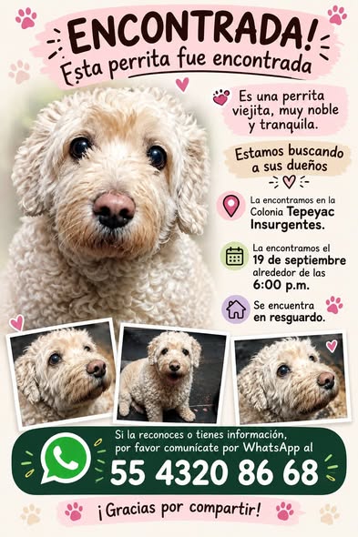 Foto del avistamiento de perro