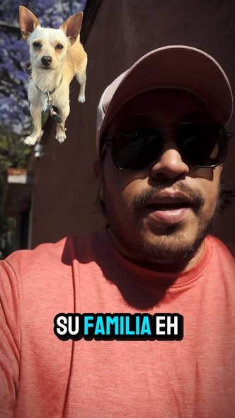 Foto del avistamiento de perro