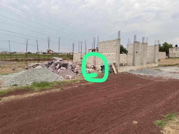 Foto del avistamiento de perro