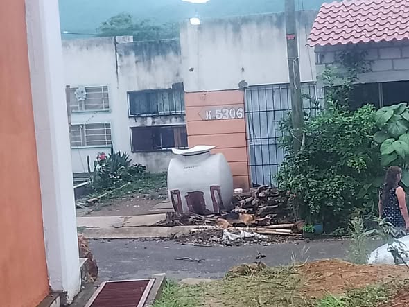 Foto del avistamiento de perro