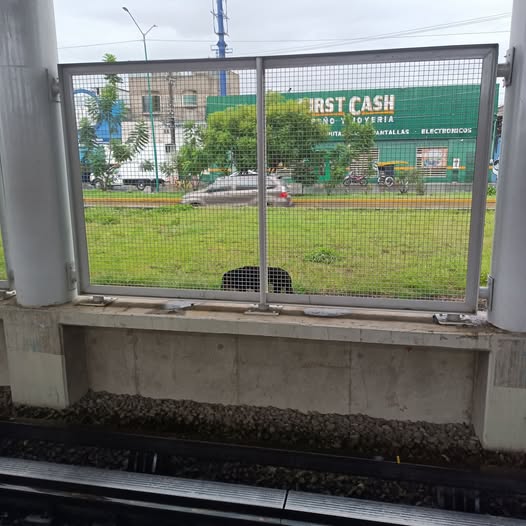 Dog sighting photo