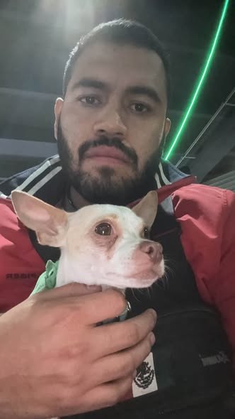 Foto del avistamiento de perro