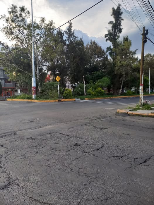 Foto del avistamiento de perro