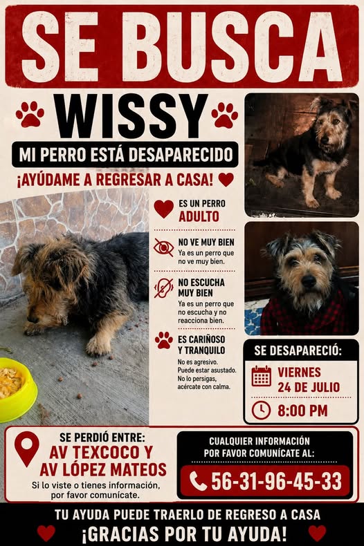 Foto del avistamiento de perro