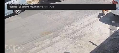 Foto del avistamiento de perro