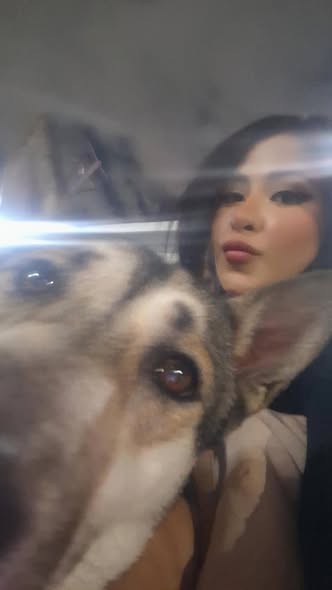 Foto del avistamiento de perro