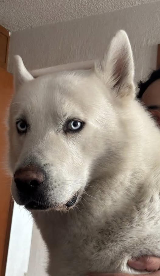 Billy