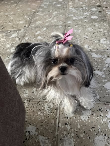 LUCRECIA