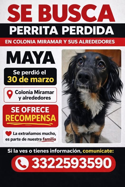 Maya