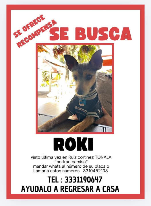 roki
