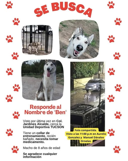 Ben