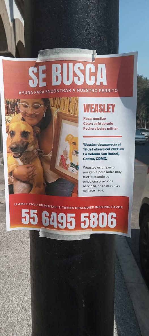 Weasley