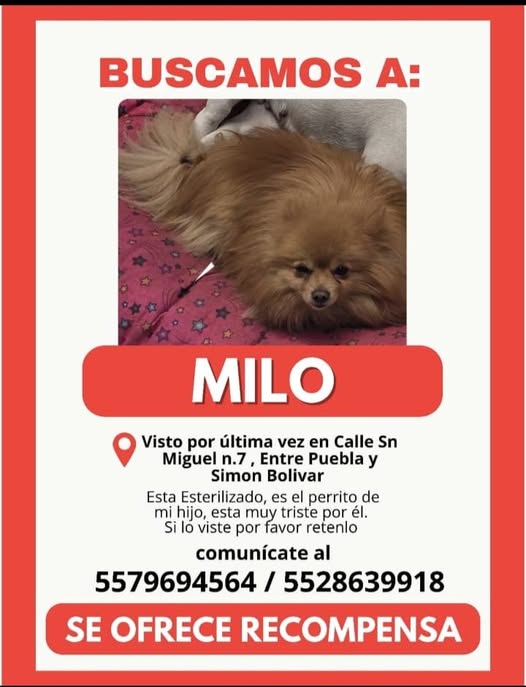Milo