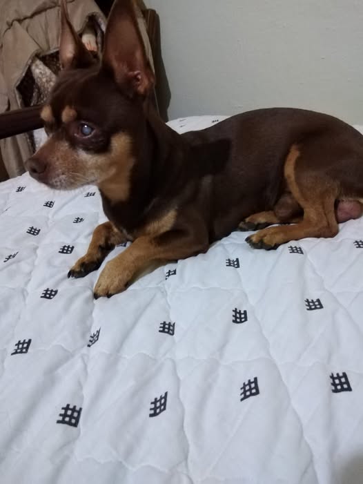 Max