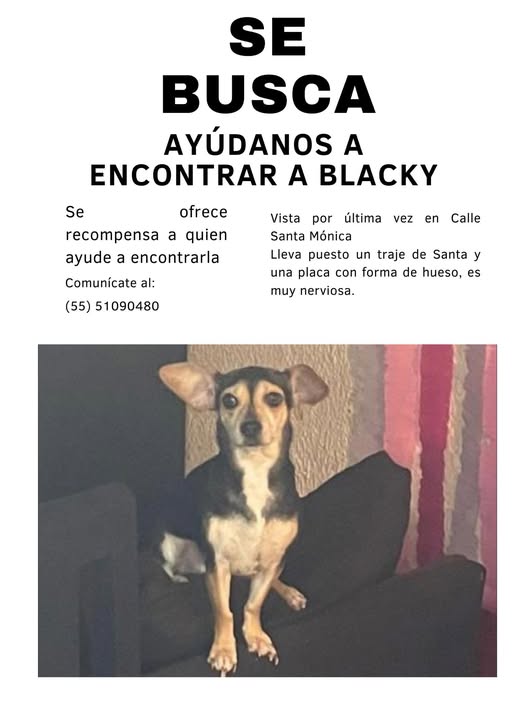 Blacky