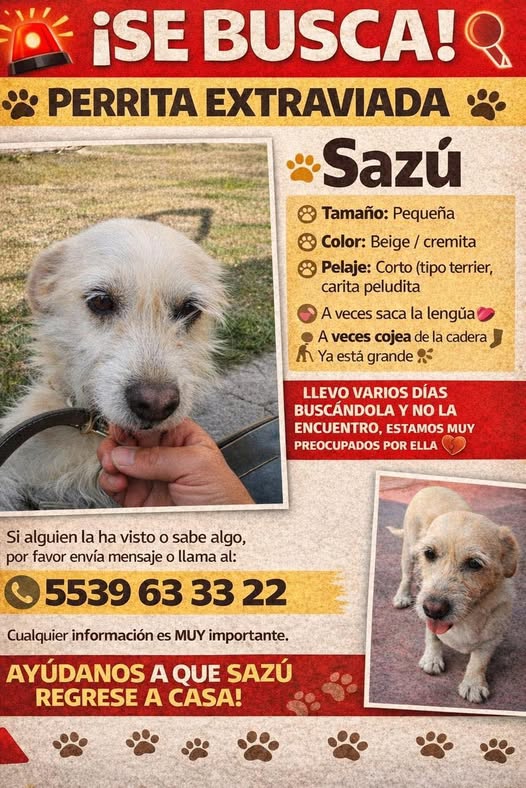 Sazú