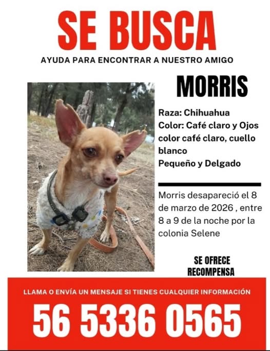 Morris