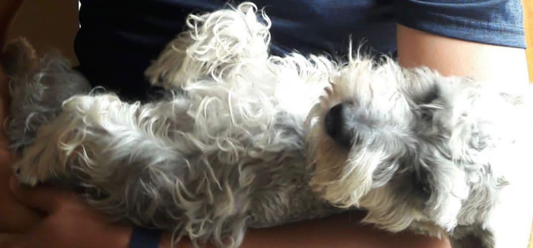 Roky