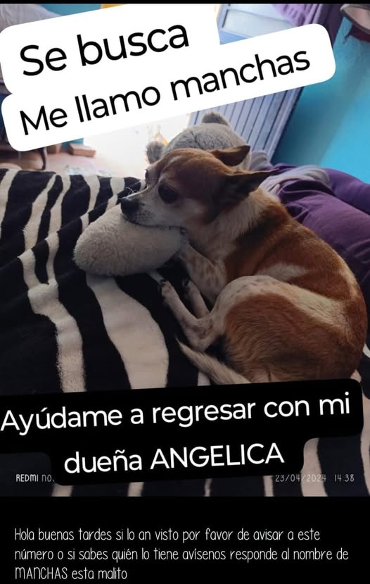manchas