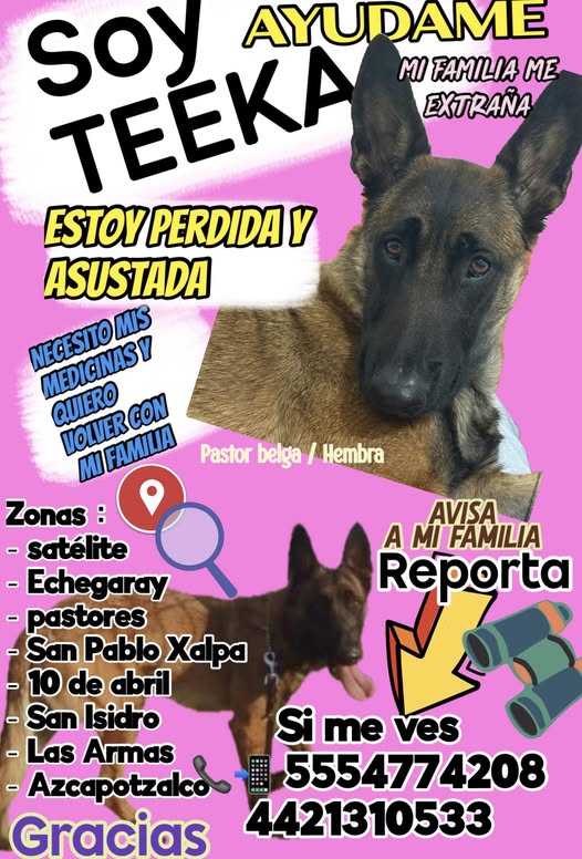 Teeka