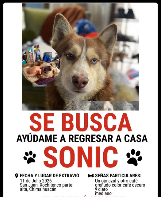 SONIC
