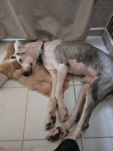 Max
