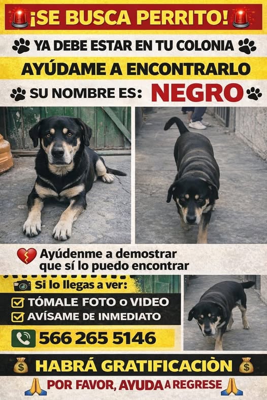 NEGRO