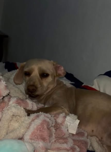 Chloe
