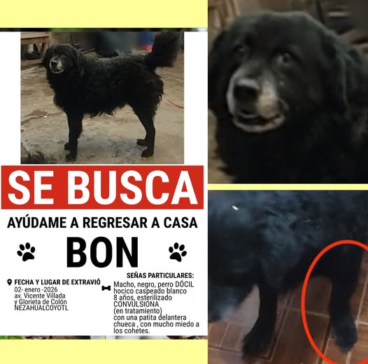 BON