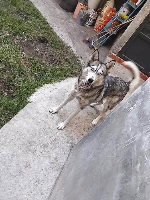 Kiara